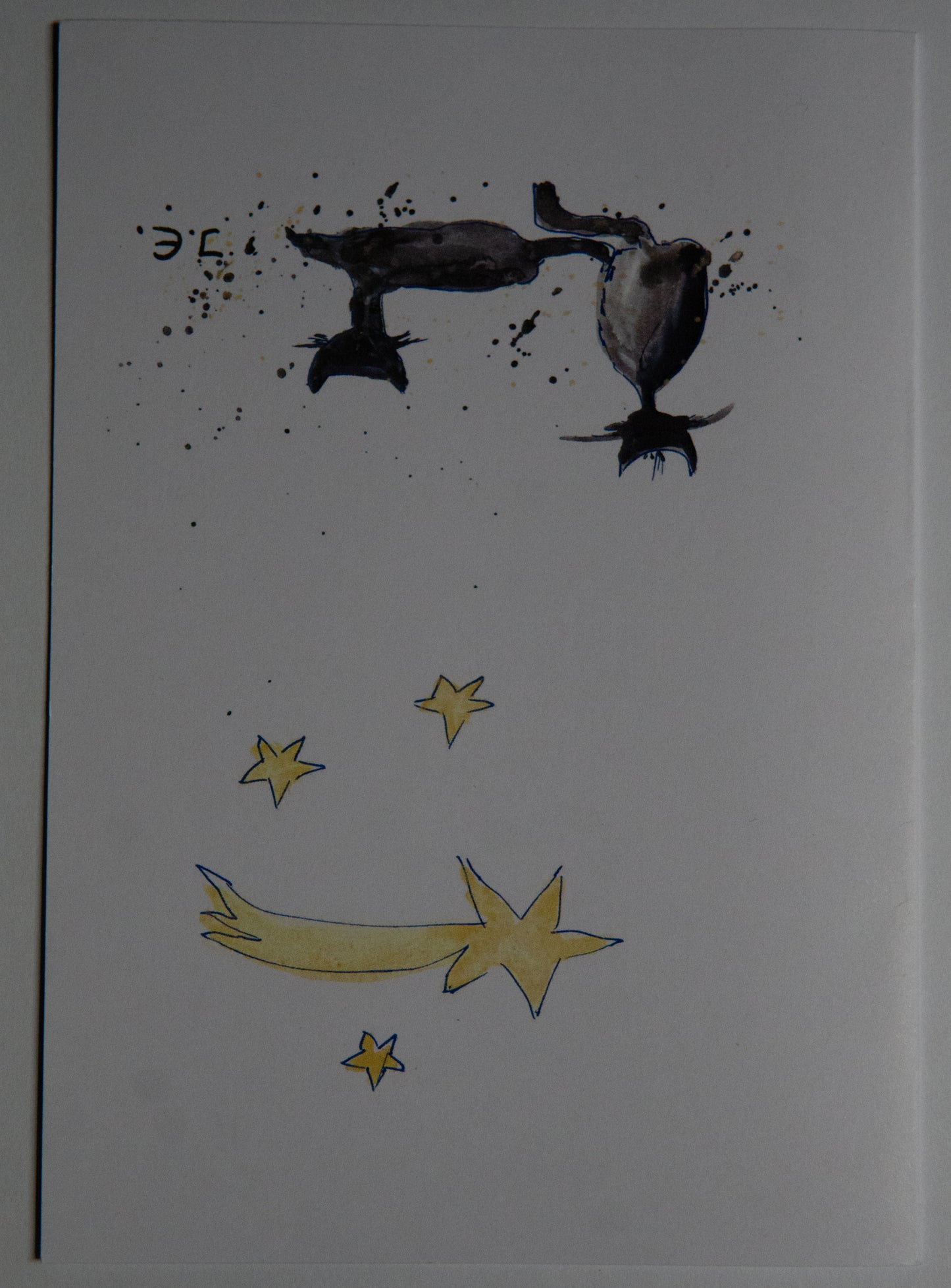 Katzen in der Nacht-Postkarte